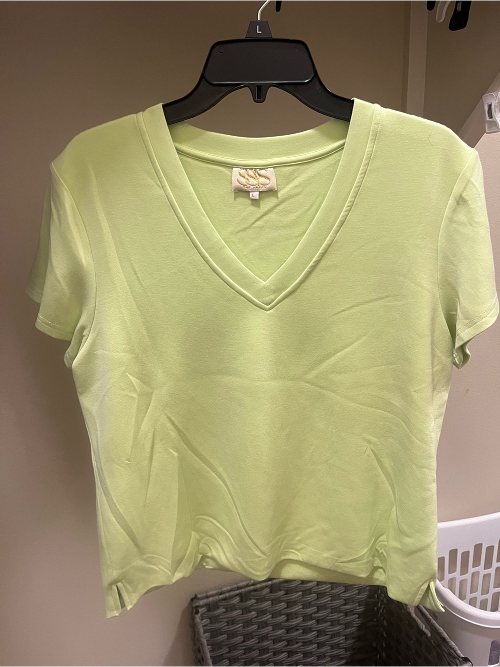 V-Neck Short Sleeve Tee in Light Green